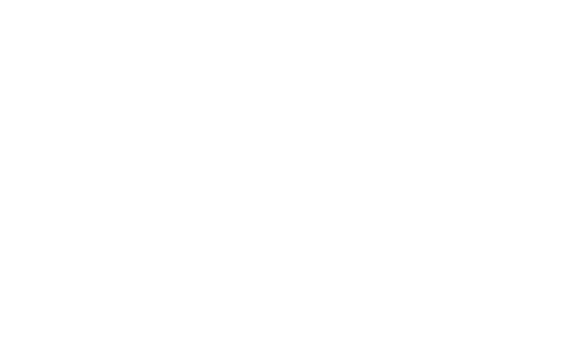 Google logo white