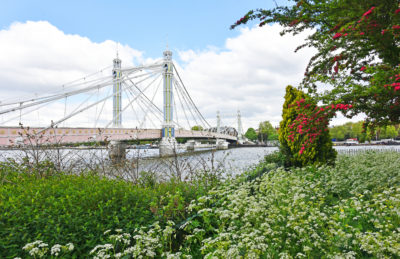 Albert Bridge Battersea Park in Spring